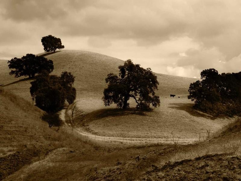 sudoku easy screenshot 3